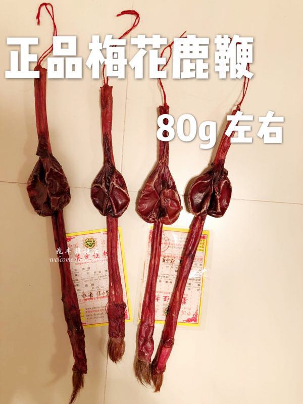Jilin sika deer whip pruning deer whip dry deer whip soak wine with certificate about 80g