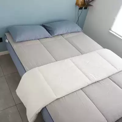 Cotton core bed mattress more soft and comfortable macaron solid color filled Xinjiang cotton flower core bed pad