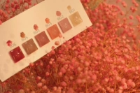 Серия Bloom Huayue (набор из 6 цветов)