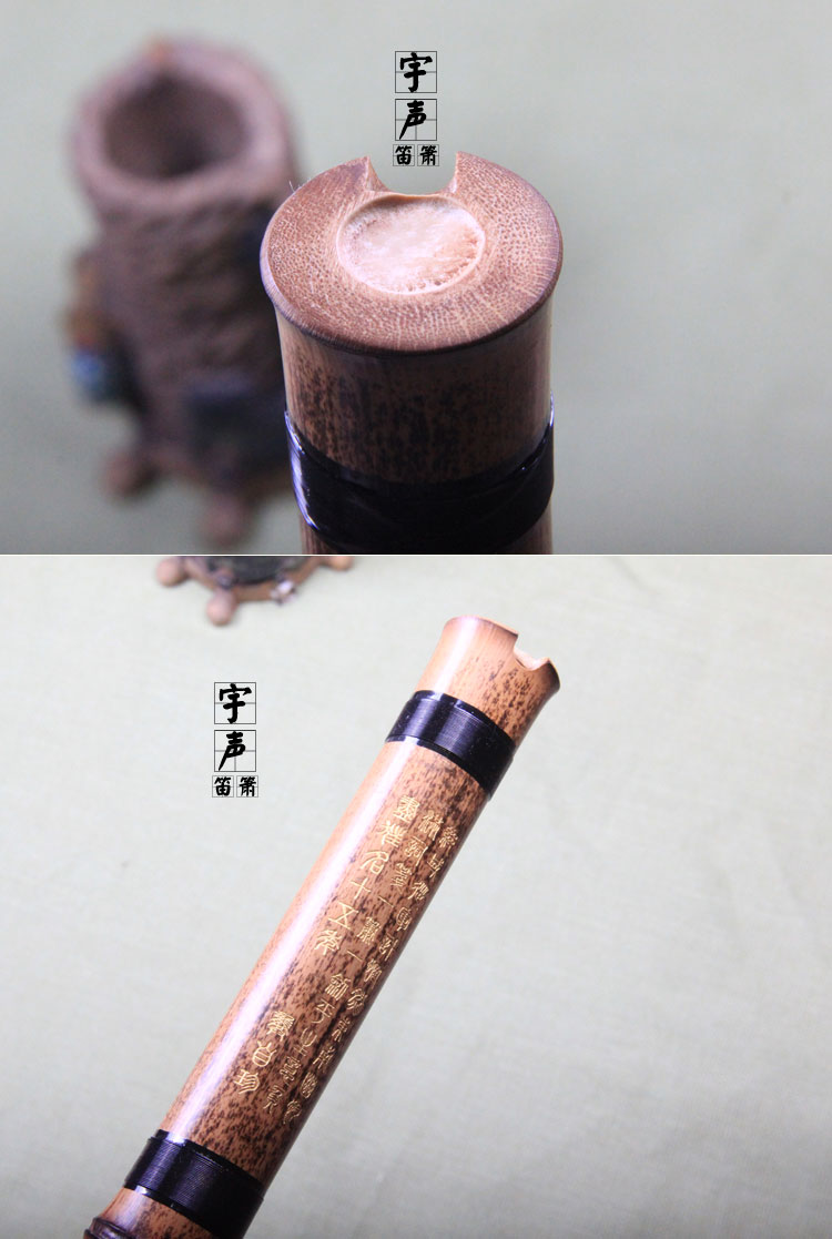 Một phần của Zizhu Người mới bắt đầu ngắn 箫 tám lỗ 箫 Nhạc cụ Xiao chuyên nghiệp Zizhu ngắn Gửi phụ kiện - Nhạc cụ dân tộc đàn tranh việt nam