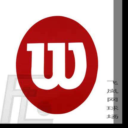 维尔胜wilson网球拍Logo标志油彩模板:个性化定制,让你的球拍独一无二!🌟-更多网球配件-淘宝好物网