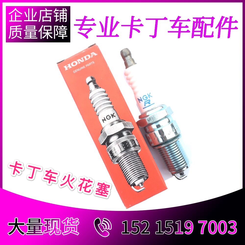 Professional Kart Adult Kids Racing Full Accessories Fuel Engine NGK Exclusive Honda Spark Plug