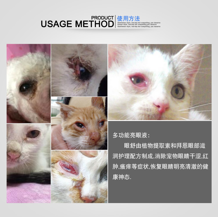 Chó rơi nước mắt nhân tạo chó chó nhỏ mắt mèo thuốc nhỏ mắt thú cưng nhỏ giọt nước mắt - Thuốc nhỏ mắt nước mắt nhân tạo systane ultra