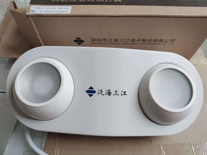 Oceanwide Sanjiang centralized power supply centralized control fire emergency lighting fixture E3WZS31 ZG51