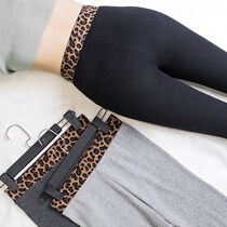 Leggings women wear spring and autumn thin gray thin thread pants light gray vertical stripe ankle-length pants Net Red