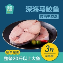 Hainan deep sea mackerel mackerel in the middle of the head and tail fresh seafood large slices of 3kg Shunfeng