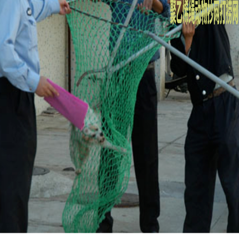 City Tube Zoo Capture Thickened Cord Net Capture Dog and Cat Mesh Bag Garbage Salvage Capture Net Mesh Bag
