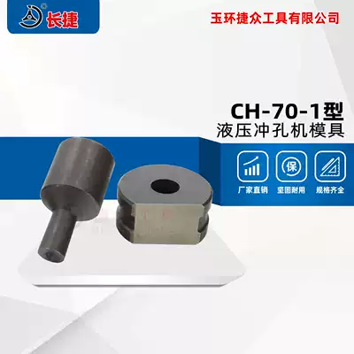 CH-70-1 punching machine die hydraulic punching die round die oval hole square hole strip hole