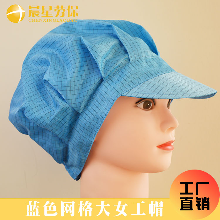 Anti - static blue mesh large female cap 0 5 grid dust clean cap working cap