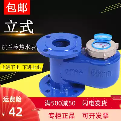Rotor type up and down DN50 65 80 100mm2 inch 4 inch cold water and hot water vertical vertical flange water meter