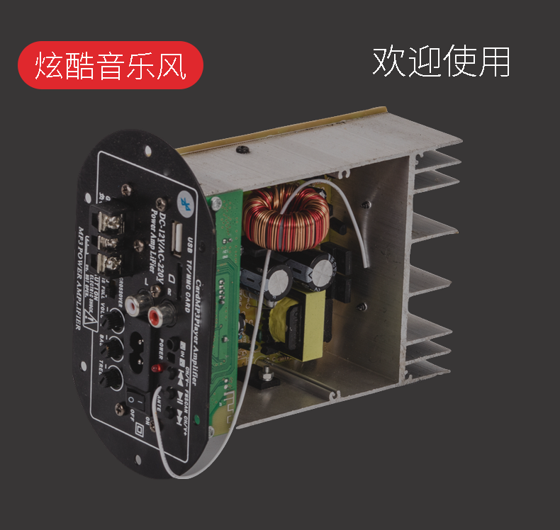 12V220F high-power car car card subwoofer Bluetooth power amplifier board 12-inch audio power amplifier motherboard DIY