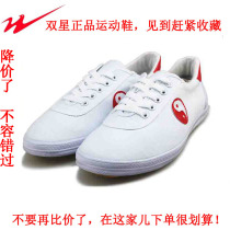 Professional BiStar Tai Chi Martial Arts Shoes Adult Canvas Womens Bull Gluten Bottom Cloth Shoes Taijiquan Athletic Sneakers