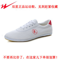 Twin Star Martial Arts Shoes Tai Chi Shoes Beef Tendon Bottom Sneaker Mens Practice Shoes Children Shoes Womens Winter Canvas Training Shoes