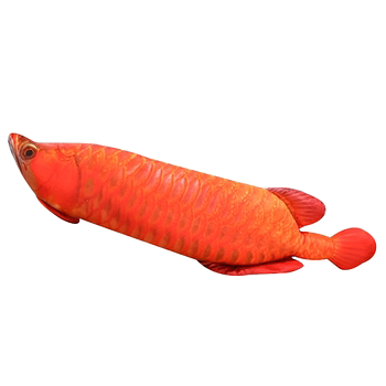 Arowana pillow doll ຂອງຫຼິ້ນ plush ຂອງເດັກນ້ອຍ simulated ປາ rag doll ຕຽງນອນຂອງປະທານແຫ່ງເດັກນ້ອຍ pillow