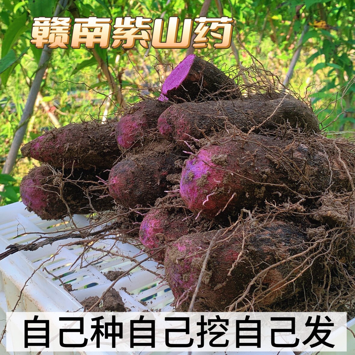 小七山里好物的LOGO