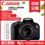 Ngân hàng Quốc gia Canon / Canon 800D Màn hình cảm ứng WIFI đơn máy ảnh DSLR EOS 800D - SLR kỹ thuật số chuyên nghiệp máy ảnh cơ giá rẻ