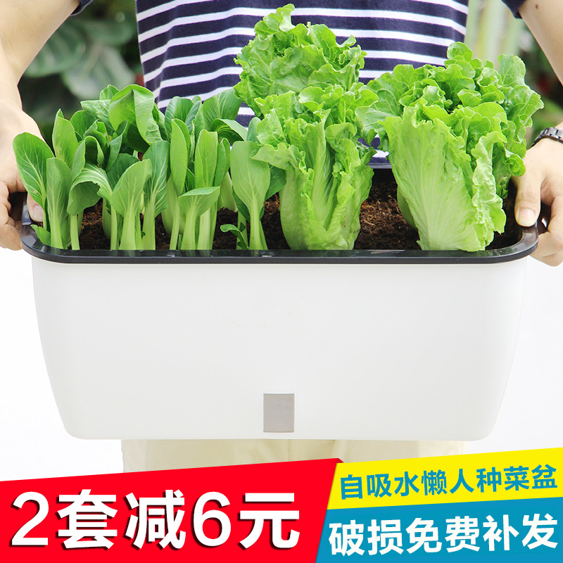 Balcony Species Vegetable Theorizer Rectangular Planting Box Flower Groove Garden Courtyard Home Plant Plastic Automatic Water Absorbing Flower Pot