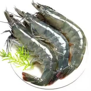 顺丰【净重2.8斤】青岛大虾对虾