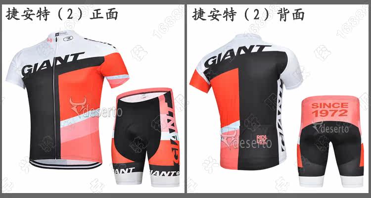 Vêtement cyclisme mixte - Ref 2221031 Image 20