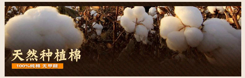 Chemise fille à manche longue - Ref 2084935 Image 11