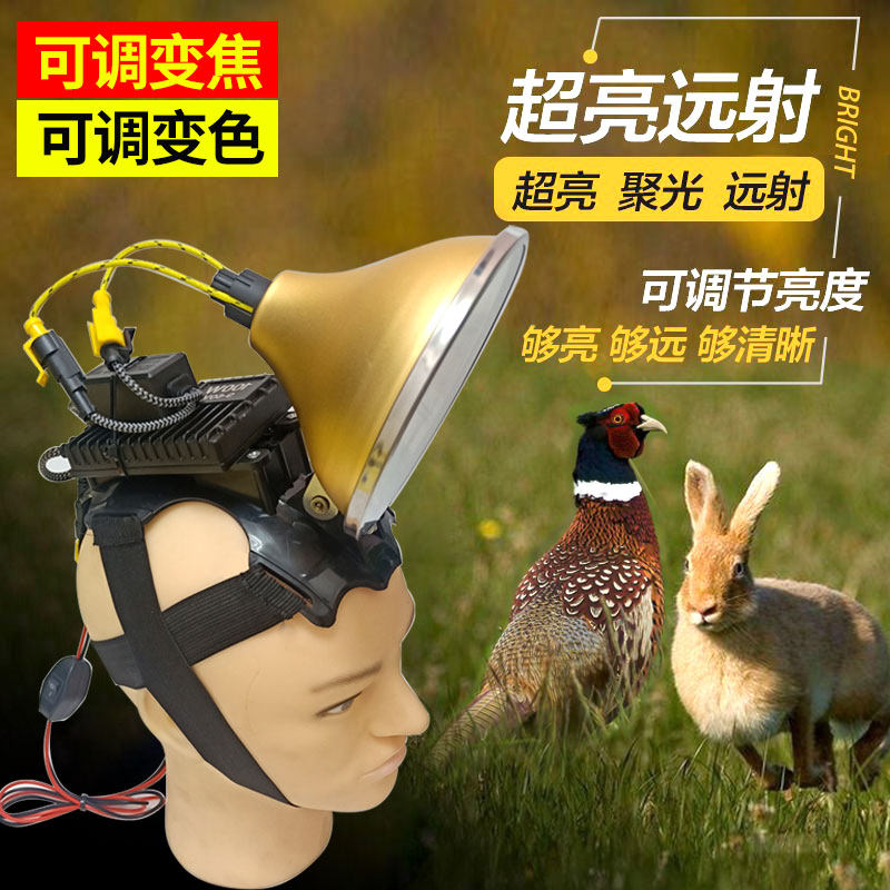 Hernia Head Light Intense Light Super Bright Adjustable Focusing Discoloration Outdoor Hunting Spotlight Wearing Style Night Fishing Big Spot Xenon lamp