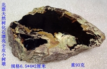 Beipiao natural paleontology stone ornamental stone fossil tree fossil rare beautiful pattern full leather small tree stump 1650