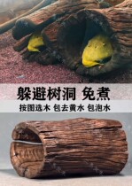 Two-horse small and medium sunken wood shelter from hole Alien fish rat fish Sanhu Climbing Terrace natural Purple Grapefruit tree hole