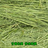 Бесплатная доставка Gansu Beiti выпекать Timori Grass Sturgeon Totoro Totoro Bunny Bunny Rabbit Голландская свинья, федерация мыши доляции