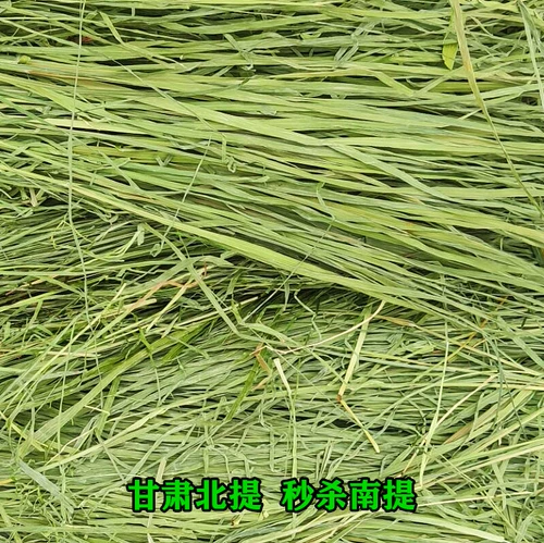 Бесплатная доставка Gansu Beiti выпекать Timori Grass Sturgeon Totoro Totoro Bunny Bunny Rabbit Голландская свинья, федерация мыши доляции