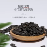 Бесплатная доставка Yee маленькие масляные семена подсолнечника