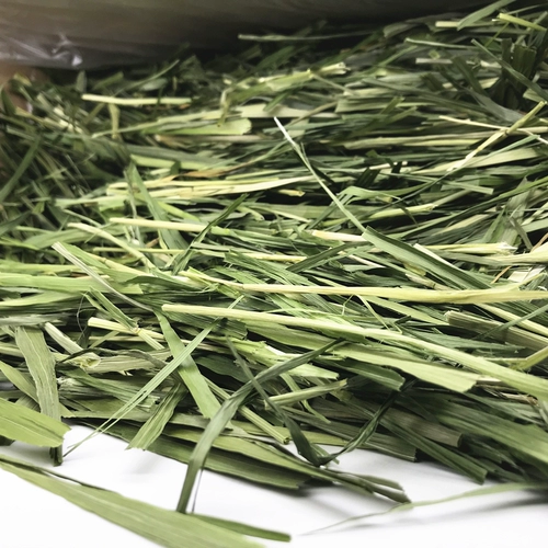 Бесплатная доставка сушеная зеленая овсянка