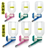 Jolly Zuli Hammel Rabbit Totoro Totoro голландские свиные домашние животные ежа ежа пить