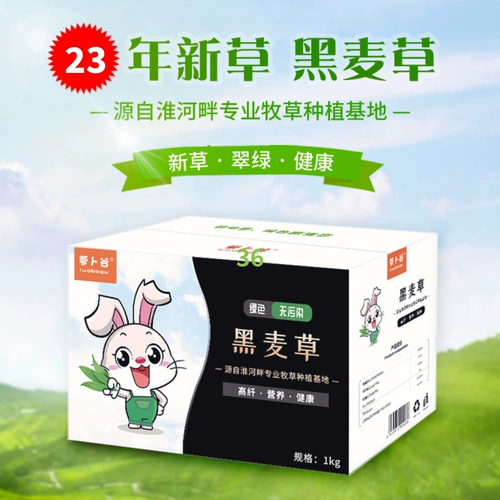 Бесплатная доставка Totoro, кролика Dorch, Dorch Tortle Tortoise, повышение питания и защищает желудочно -кишечную арт -цепа