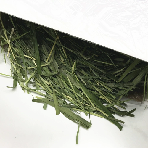 Бесплатная доставка сушеная зеленая овсянка