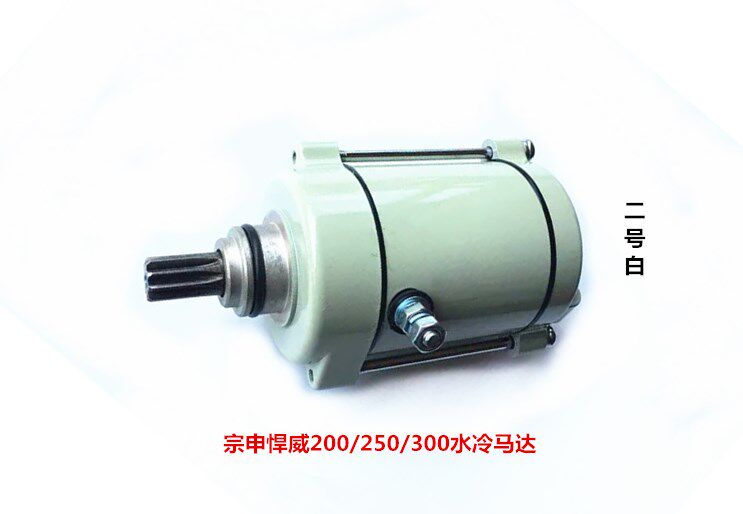 Zongshen tricycle original shrewd tsunami 200 250 300 water-cooled engine motor starter motor