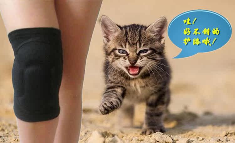 Protection sport - Ref 584471 Image 15