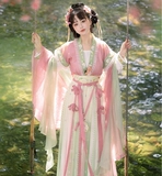 Hanfu Прокат Тан Фузи длиной до талии Русская юбка Ежедневно Свежий китайский стиль Древний костюм Фея Костюм для выступлений Фото Douyin Женский