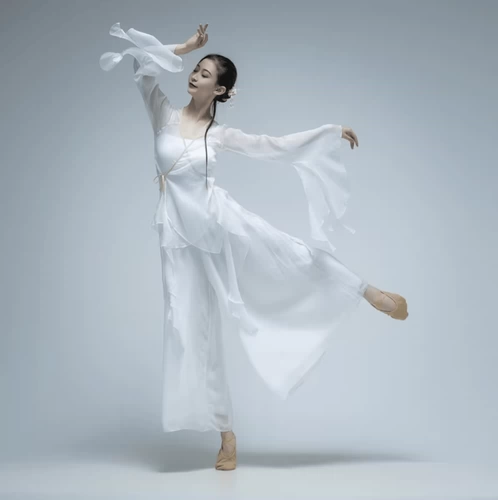 Классическая этническая длинная шифоновая спортивная одежда, для выступлений