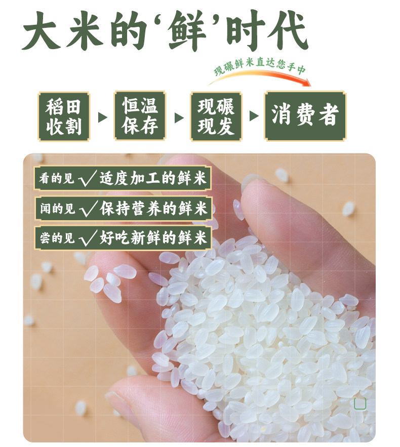 安享好物 安享B级粳米-润香粮品寒地鲜米 国标