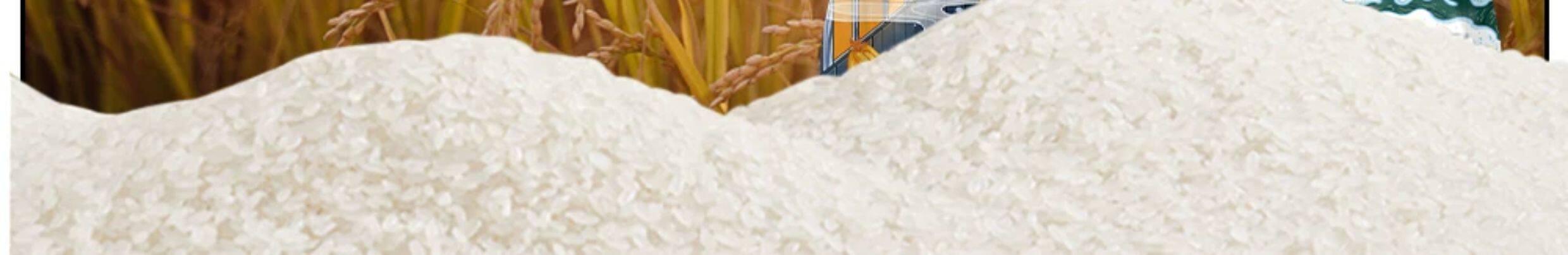 安享好物 安享C级粳米-润香粮品珍珠米寒地大米 国标 