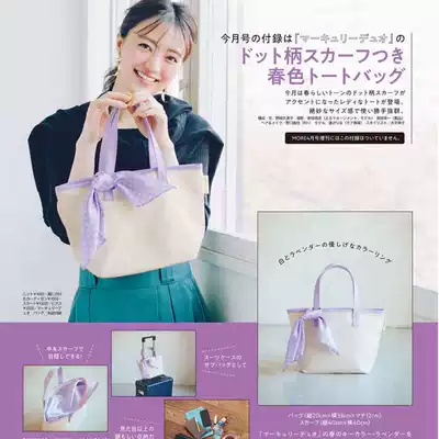 Japanese magazine appendix bag Minimalist style Simple canvas hand bag Handbag Bento belt Bento bag