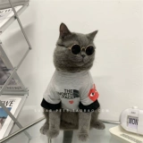 Tide Brand Pet Dog Одежда кот осенью и зимой, модный бренд британский короткий голубая кошка Biemi Bel Mei Xuenari маленькая и средняя собака