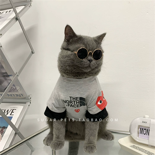 Tide Brand Pet Dog Одежда кот осенью и зимой, модный бренд британский короткий голубая кошка Biemi Bel Mei Xuenari маленькая и средняя собака