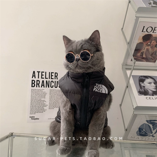 Tide, демисезонный брендовый удерживающий тепло жилет с пухом, пуховик, коллекция 2021