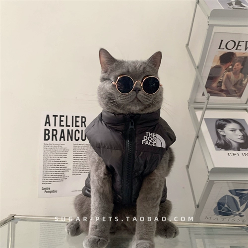 Tide, демисезонный брендовый удерживающий тепло жилет с пухом, пуховик, коллекция 2021