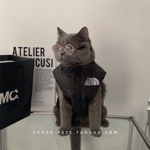 Tide, демисезонный брендовый удерживающий тепло жилет с пухом, пуховик, коллекция 2021