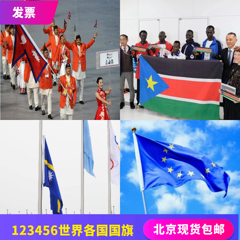 No. 123456 European Union South Sudan Nepal Nauru flag world foreign flag foreign affairs supplies spot