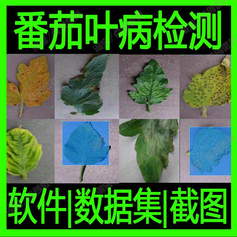 Tomato Leaf Disease Target Detection Real-Time Yolo Automatic Recognition Data Set Python Machine Deep Learning Voc