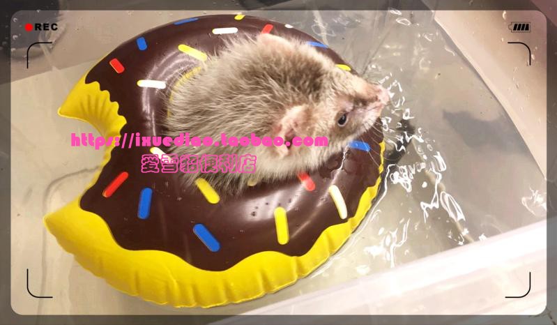 Pet mink swimming ring Ferret lifebuoy Mink bath bath Inflatable toy Donut watermelon