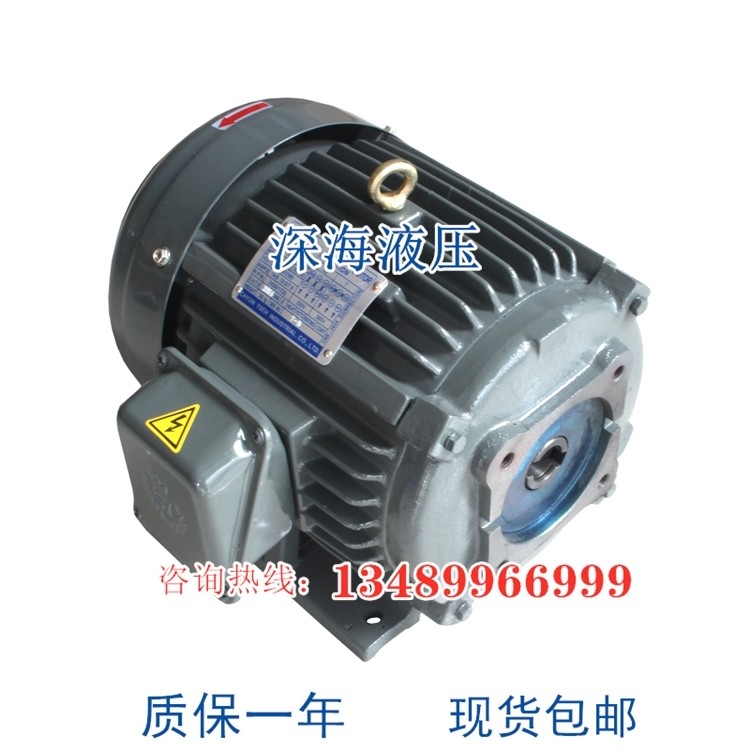 Taiwan S Y group Tzer motors 3 75KW 5HP hydraulic oil pump motors C05-43BO VP40 HGP 50T
